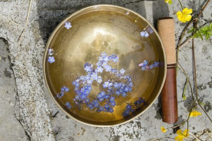 Singing bowls filled with water with flower petals - Tibetan bowls and water