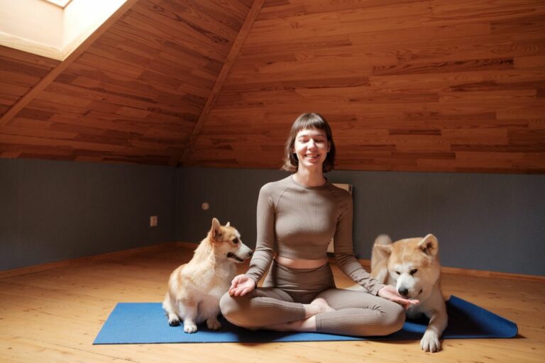 Music For Your Pet: Singing Bowl Dog